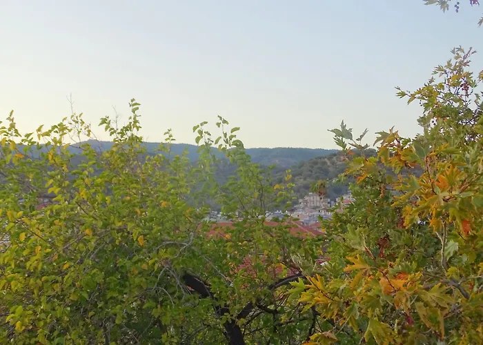 Sarissa Butik Hotel 3*